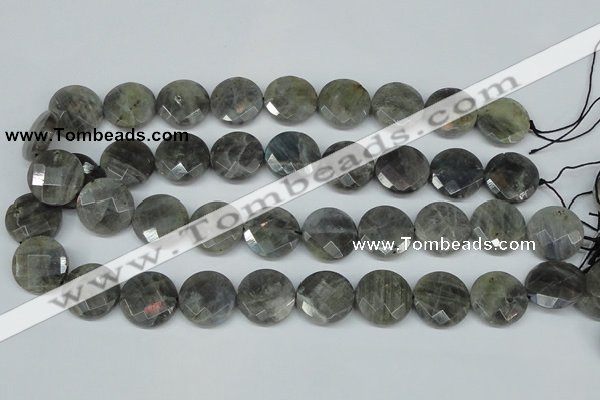 CLB193 15.5 inches 20mm faceted coin labradorite gemstone beads