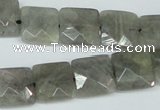 CLB201 15.5 inches 14*14mm faceted square labradorite beads