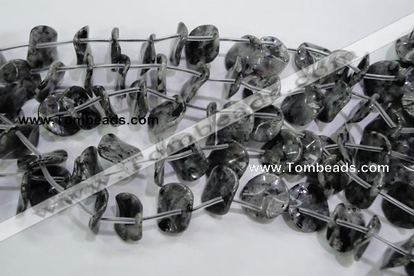 CLB326 Top-drilled 20mm wavy coin black labradorite beads