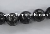 CLB355 15.5 inches 14mm round black labradorite beads wholesale