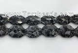 CLB380 24*32mm - 25*35mm faceted octagonal black labradorite beads