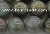 CLB608 15.5 inches 20mm round AB-color labradorite beads