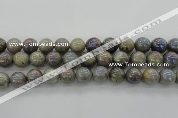 CLB608 15.5 inches 20mm round AB-color labradorite beads