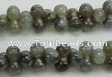 CLB630 15.5 inches 4*9mm bone AB-color labradorite beads