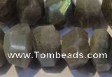 CLB701 15.5 inches 12*22mm - 14*24mm faceted nuggets labradorite beads