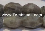 CLB703 15.5 inches 13*18mm - 16*22mm faceted nuggets labradorite beads