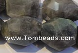 CLB704 15.5 inches 15*18mm - 20*25mm faceted nuggets labradorite beads