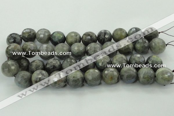 CLB715 15.5 inches 20mm faceted round labradorite gemstone beads