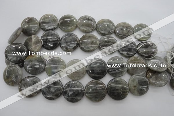 CLB738 15.5 inches 20mm flat round labradorite gemstone beads