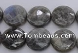 CLB744 15.5 inches 16mm faceted coin labradorite gemstone beads