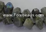 CLB765 15.5 inches 8*12mm - 12*16mm faceted nuggets labradorite beads