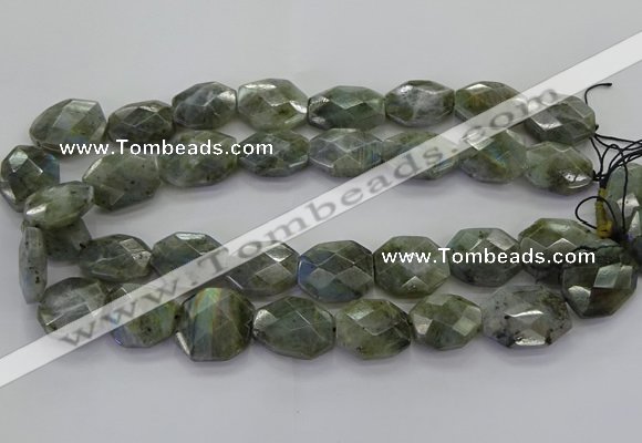 CLB767 15.5 inches 13*18mm - 18*25mm faceted freeform labradorite beads