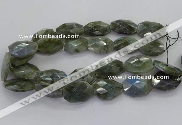 CLB768 15.5 inches 20*25mm - 22*30mm faceted freeform labradorite beads