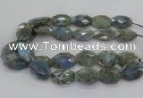 CLB770 15.5 inches 20*25mm - 22*30mm faceted freeform labradorite beads