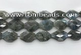 CLB798 20*28mm - 22*32mm faceted octagonal labradorite beads