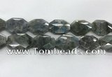 CLB799 25*30mm - 25*35mm faceted octagonal labradorite beads