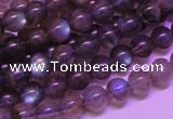 CLB812 15 inches 6mm round blue labradorite gemstone beads