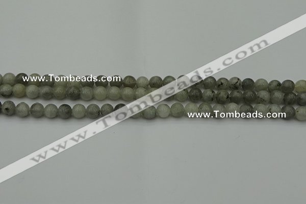 CLB850 15.5 inches 4mm round AB grade labradorite beads wholesale