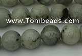 CLB853 15.5 inches 10mm round AB grade labradorite beads wholesale