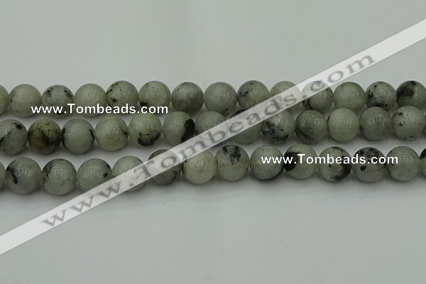 CLB855 15.5 inches 14mm round AB grade labradorite beads wholesale