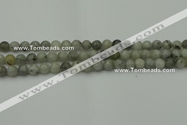 CLB862 15.5 inches 8mm faceted round AB grade labradorite beads