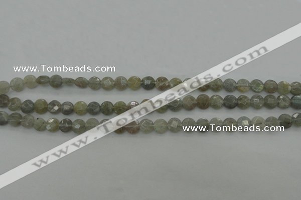 CLB87 15.5 inches 6mm faceted coin labradorite beads wholesale