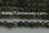 CLB900 15.5 inches 4mm faceted round labradorite gemstone beads