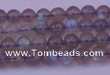 CLB911 15.5 inches 5mm round labradorite gemstone beads