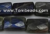 CLB964 15.5 inches 18*25mm faceted rectangle labradorite beads