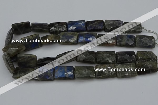 CLB965 15.5 inches 20*30mm faceted rectangle labradorite beads