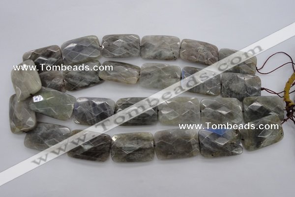 CLB97 15.5 inches 20*30mm faceted rectangle labradorite beads