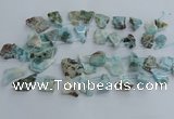 CLR90 Top drilled 15*20mm - 25*35mm freeform larimar beads