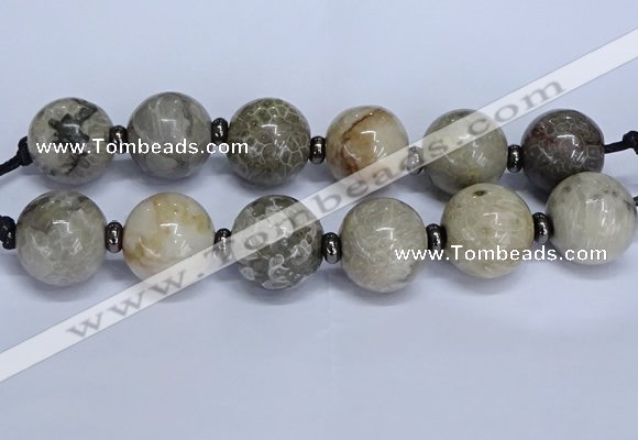 CLS252 7.5 inches 30mm round large chrysanthemum agate beads