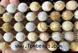 CLS443 15 inches 16mm faceted round fossil coral beads