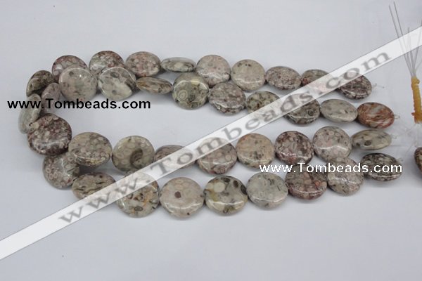 CMB11 15.5 inches 20mm flat round natural medical stone beads