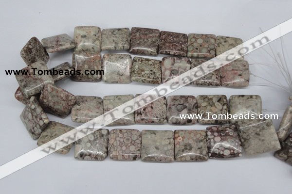 CMB23 15.5 inches 25*25mm square natural medical stone beads