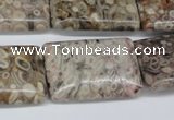 CMB28 15.5 inches 20*30mm rectangle natural medical stone beads