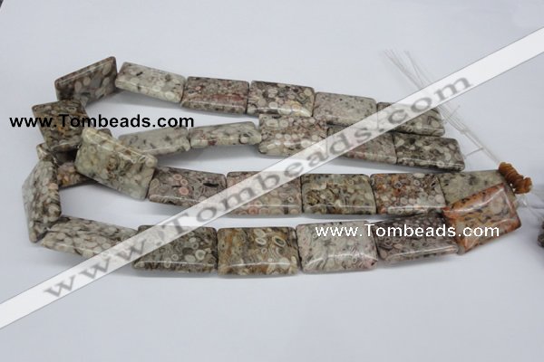 CMB28 15.5 inches 20*30mm rectangle natural medical stone beads