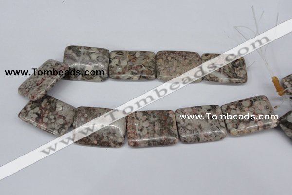 CMB29 15.5 inches 30*40mm rectangle natural medical stone beads