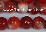 CMJ1157 15.5 inches 10mm round jade beads wholesale