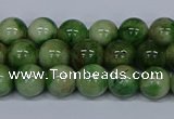 CMJ703 15.5 inches 8mm round rainbow jade beads wholesale