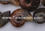 CMM01 15.5 inches 13*18mm - 30*35mm carved ammonite gemstone beads