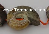 CMM02 15.5 inches 18*25mm - 35*45mm carved ammonite gemstone beads