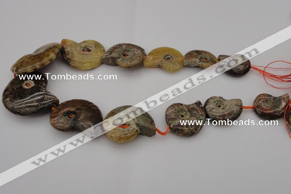 CMM02 15.5 inches 18*25mm - 35*45mm carved ammonite gemstone beads