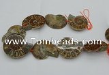 CMM03 15.5 inches 35*45mm - 45*55mm carved ammonite gemstone beads