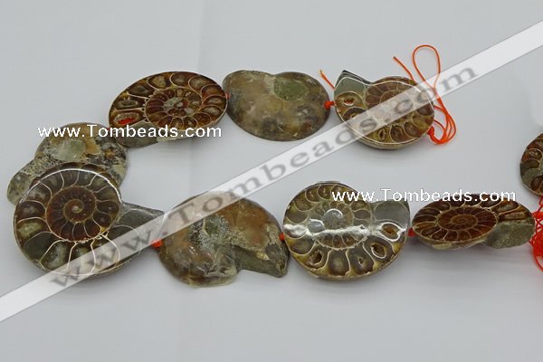 CMM03 15.5 inches 35*45mm - 45*55mm carved ammonite gemstone beads