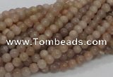 CMS01 15.5 inches 4mm round moonstone gemstone beads wholesale