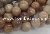 CMS03 15.5 inches 10mm round moonstone gemstone beads wholesale