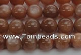 CMS1002 15.5 inches 8mm round AA grade moonstone gemstone beads