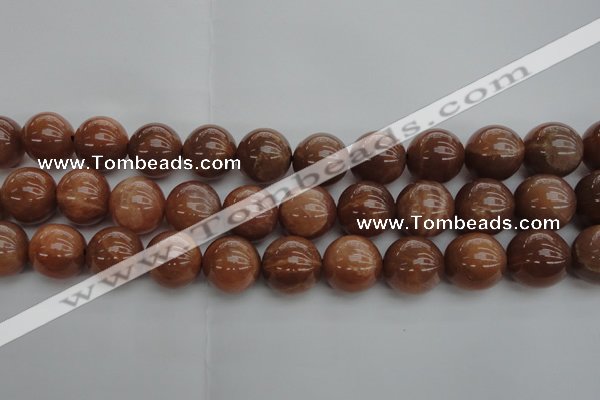 CMS1006 15.5 inches 16mm round AA grade moonstone gemstone beads